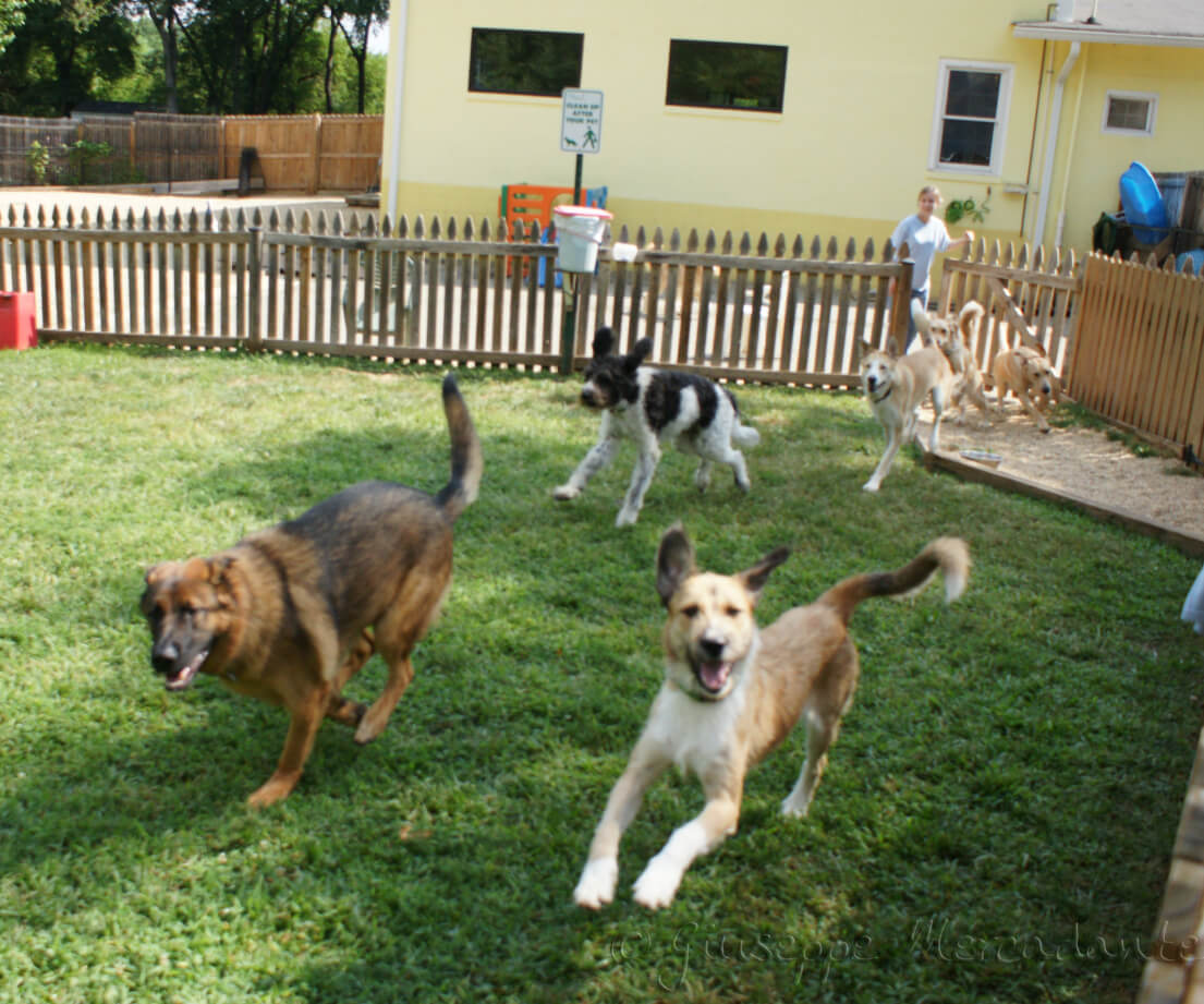 Slike iz života azila